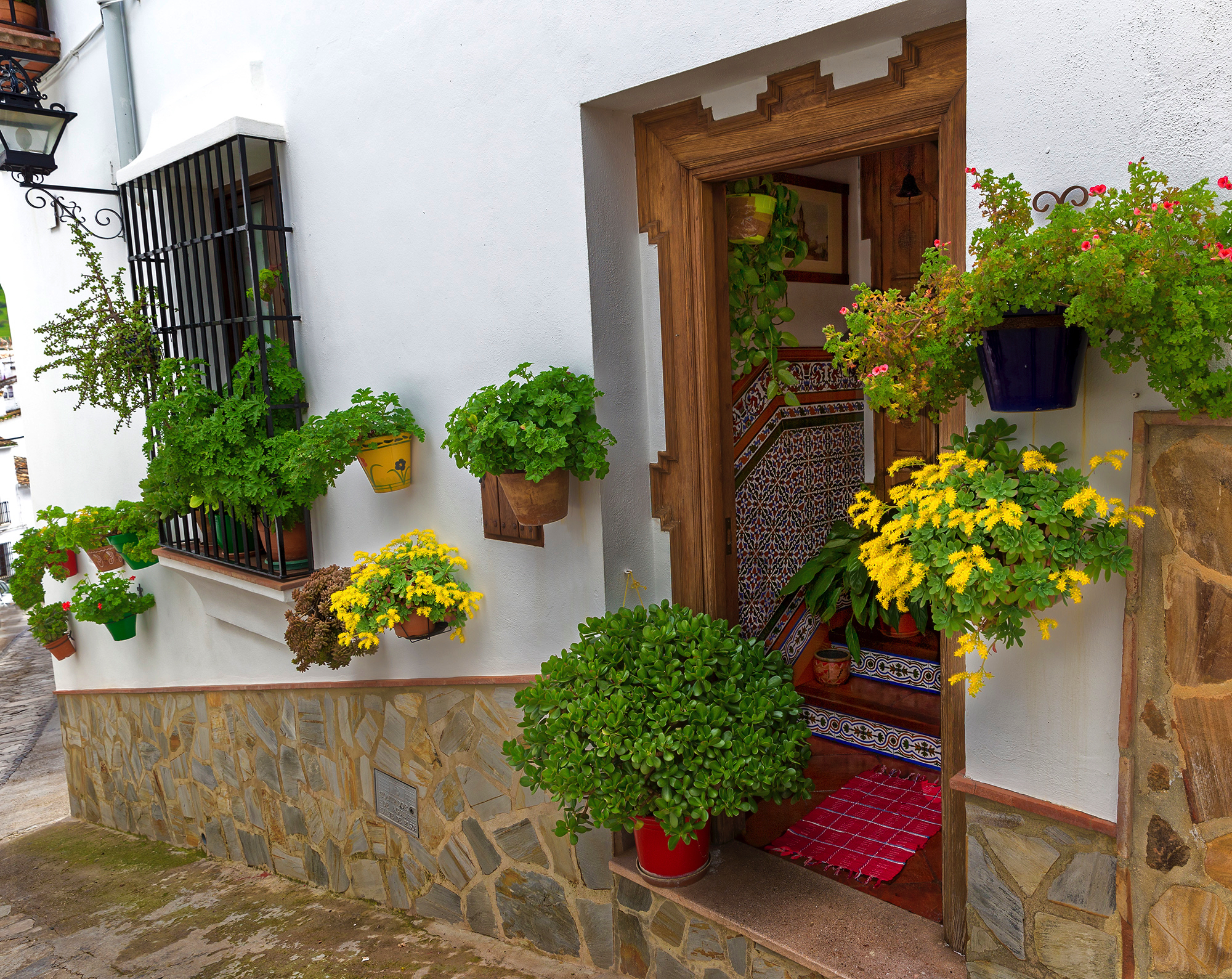 El Gastor - Village blanc typique aux maisons toutes soignées